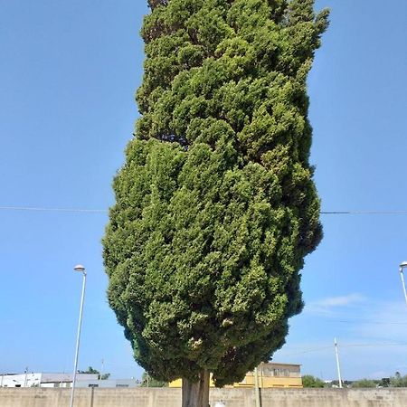 L'Albero Bello Holiday Мазара-дель-Валло Экстерьер фото