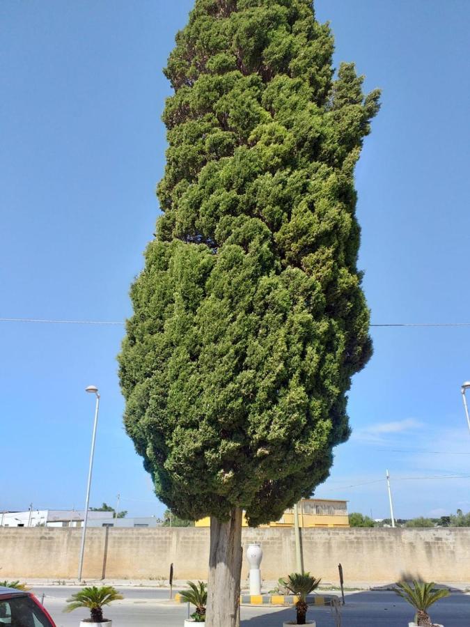 L'Albero Bello Holiday Мазара-дель-Валло Экстерьер фото