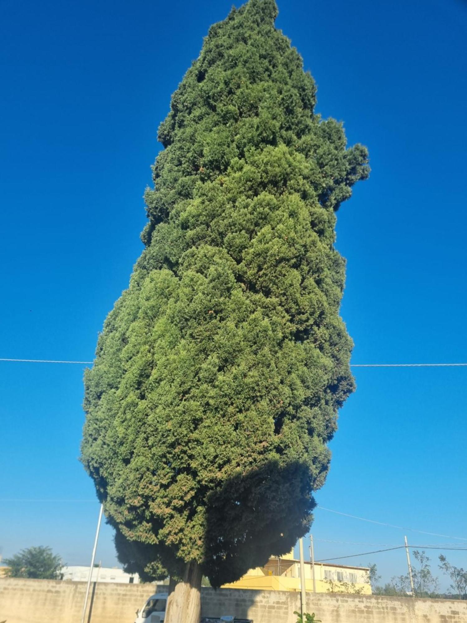 L'Albero Bello Holiday Мазара-дель-Валло Экстерьер фото